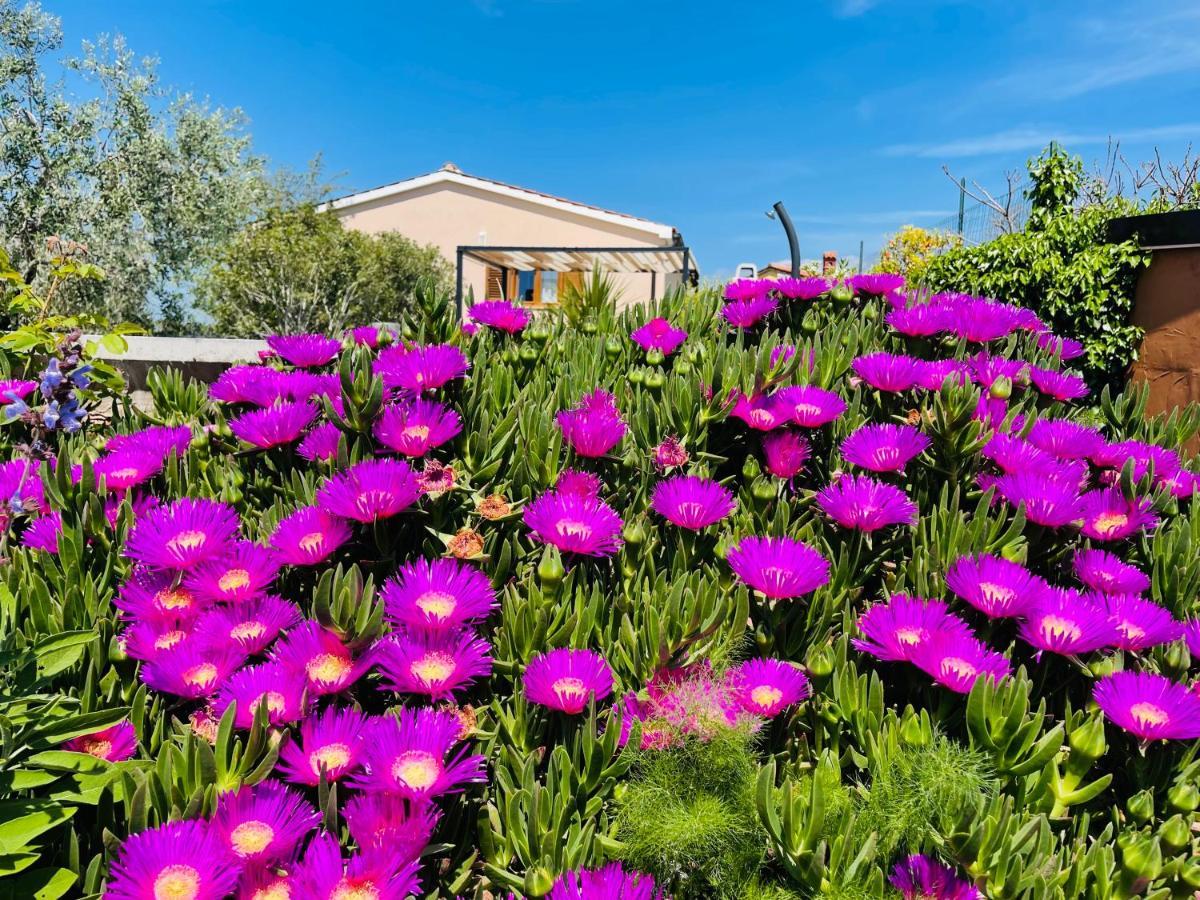 Holiday House Tesser With Pool Galizana Exterior photo